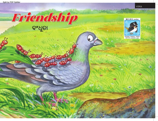 Friendship of Pigeons and Ants